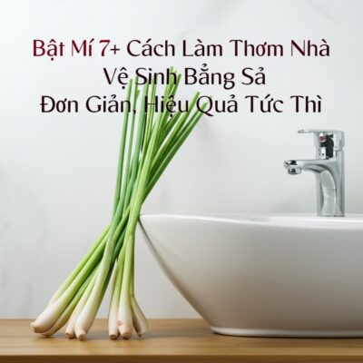 Bật Mí 7+ Cách Làm Thơm Nhà Vệ Sinh Bằng Sả Đơn Giản, Hiệu Quả Tức Thì
