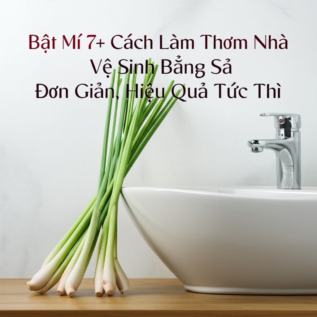 Hình minh họa cho bài viết: Bật Mí 7+ Cách Làm Thơm Nhà Vệ Sinh Bằng Sả Đơn Giản, Hiệu Quả Tức Thì