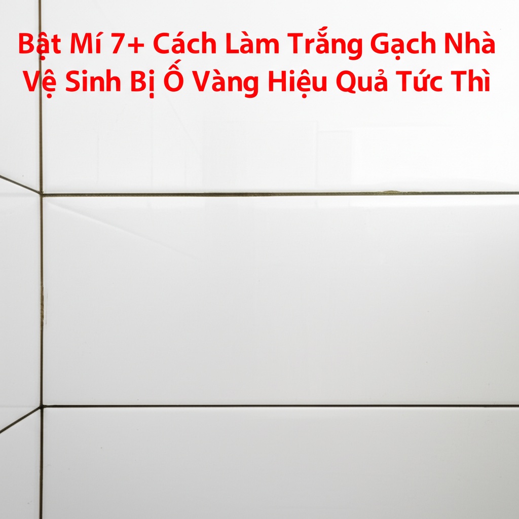 Hình minh họa cho bài viết: Bật Mí 7+ Cách Làm Trắng Gạch Nhà Vệ Sinh Bị Ố Vàng Hiệu Quả Tức Thì