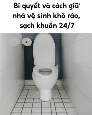 Bí quyết và cách giữ nhà vệ sinh khô ráo, sạch khuẩn 24/7