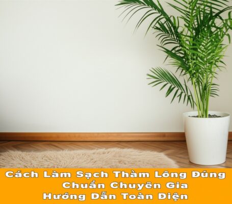 Cách Làm Sạch Thảm Lông Đúng Chuẩn Chuyên Gia: Hướng Dẫn Toàn Diện