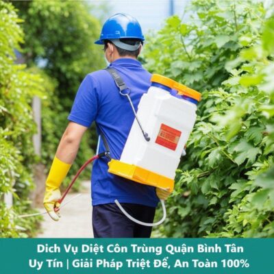 Dịch Vụ Diệt Côn Trùng Quận Bình Tân Uy Tín | Giải Pháp Triệt Để, An Toàn 100%